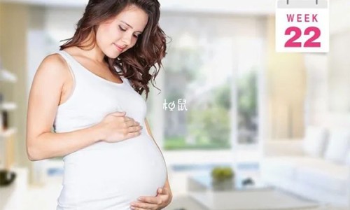 公鸡怎么做好吃法网 | 一年公鸡怎么做好吃法,公鸡怎么做好吃又简单家庭版